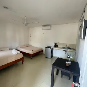 https://brisa-del-mar.quintano-roohotels.com