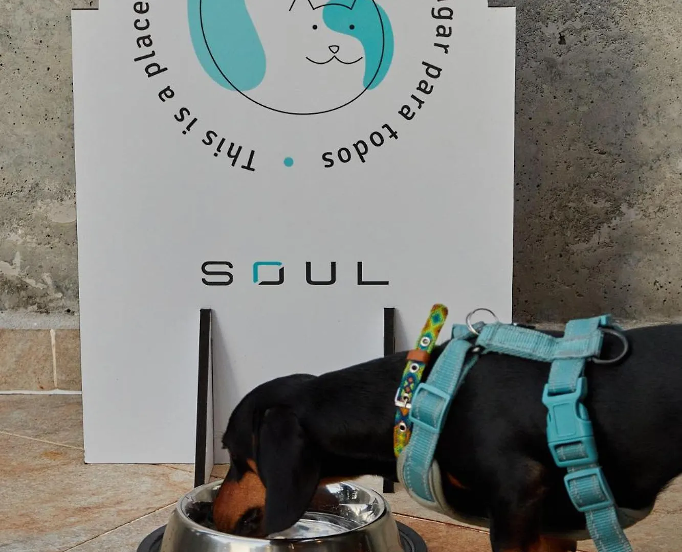 Soul Lifestyle Hotel Medellín Kolumbien